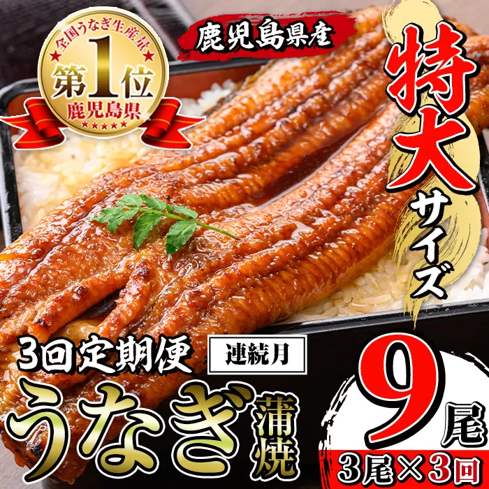 i1174-A <定期便・計3回(連続月)>\特大サイズ/鹿児島県産 うなぎ蒲焼 3尾セット<(約220g×3・計約660g)×全3回> 定期便 たれ 山椒付きうなぎ 鰻 ウナギ 特大 特大サイズ 約220g 蒲焼き 国産 鹿児島県産 焼きたて 生産量日本一 真空パック おかず 晩御飯 特別な日 土用の丑の日 【薩摩川内鰻】