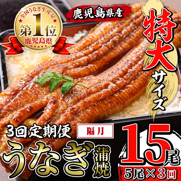 i1176-B ＜定期便・計3回(隔月)＞＼特大サイズ／鹿児島県産 うなぎ蒲焼 5尾セット ＜（約220g×5・計約1100g）×全3回＞ 定期便 たれ 山椒付きうなぎ 鰻 ウナギ 特大 特大サイズ 約220g 蒲焼き 国産 鹿児島県産 焼きたて 生産量日本一 真空パック おかず 晩御飯 特別な日 土用の丑の日 【薩摩川内鰻】