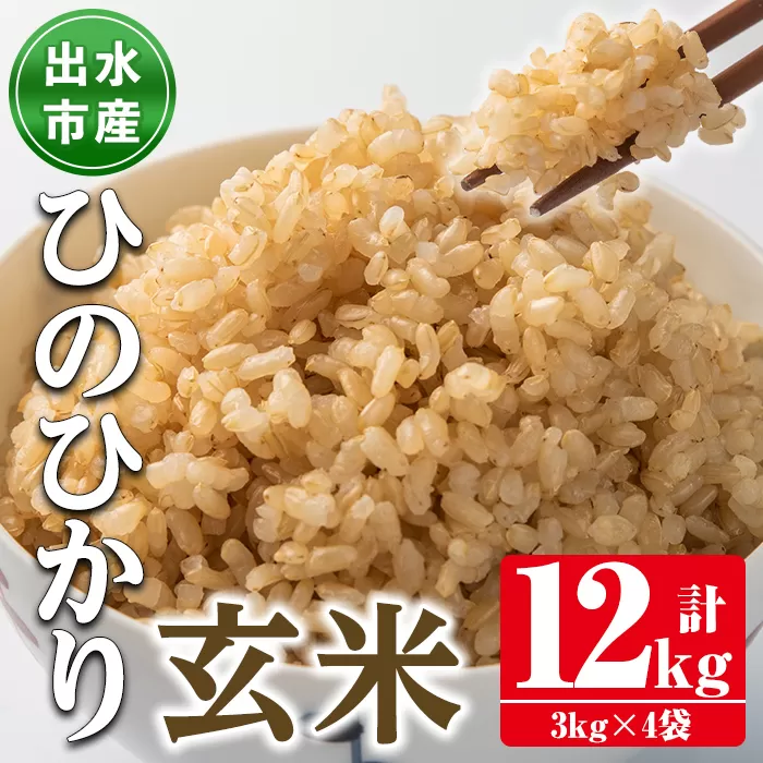 i503 鹿児島県出水市産ひのひかり玄米＜3kg×4袋・計12kg＞  【田上商店】