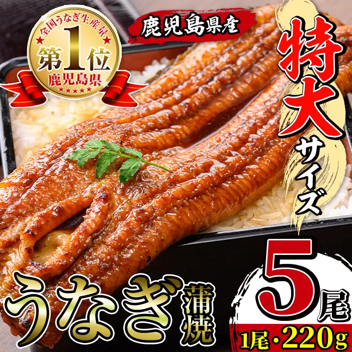 i1078-C ＼特大サイズ／鹿児島県産 うなぎ蒲焼 5尾（約220g×5・計約1100g） たれ 山椒付きうなぎ 鰻 ウナギ 特大 特大サイズ 約220g 蒲焼き 国産 鹿児島県産 焼きたて 生産量日本一 真空パック おかず 晩御飯 特別な日 【薩摩川内鰻】
