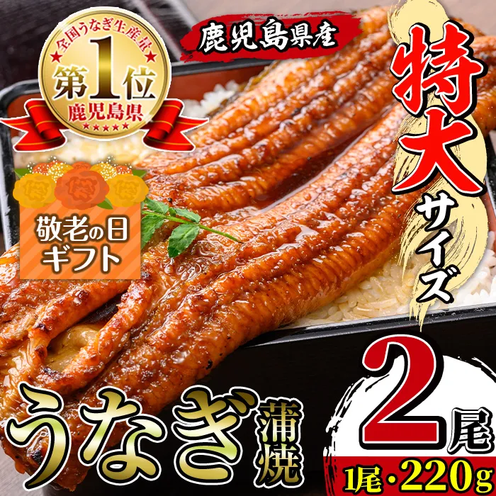 i1078-A-k 【敬老の日ギフト】＼特大サイズ／鹿児島県産 うなぎ蒲焼 2尾（約220g×2・計約440g） たれ 山椒付きうなぎ 鰻 ウナギ 特大 特大サイズ 約220g 蒲焼き 国産 鹿児島県産 焼きたて 生産量日本一 真空パック おかず 晩御飯 特別な日 贈答 ギフト プレゼント 敬老の日 【薩摩川内鰻】