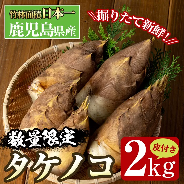 i230 ≪数量限定！先行予約受付中！2026年3月下旬～4月中旬の間に発送≫鹿児島県出水市産！たけのこ＜皮付き2kg＞ たけのこ 筍 タケノコ 国産 皮付き 野菜 旬 新鮮 採りたて 煮物 味噌汁 炊き込みご飯 【シンタク】