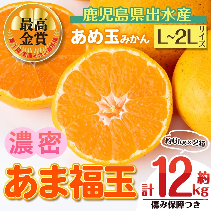i1364-D 先行予約受付中！＜2026年11月中旬〜2027年1月下旬の間に発送予定＞【特別栽培・最高金賞】【特別栽培・最高金賞】あめ玉みかん・大玉サイズ  あま福玉 (L~2L / 約12kg (約6kg×2箱)＋傷み保障 約200g (3〜4玉)) みかん 蜜柑 ミカン 柑橘 果物 フルーツ 果実 国産 鹿児島 【Farmer friends Marche】
