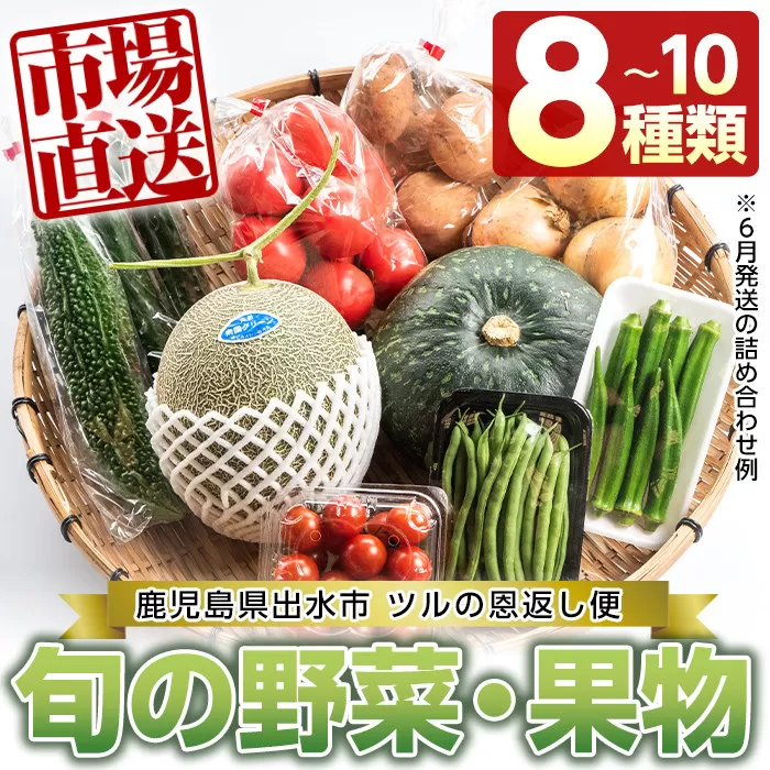 i460 旬の野菜類・果物おまかせセット(8〜10種類)![出水市出水駅観光特産品館 飛来里]