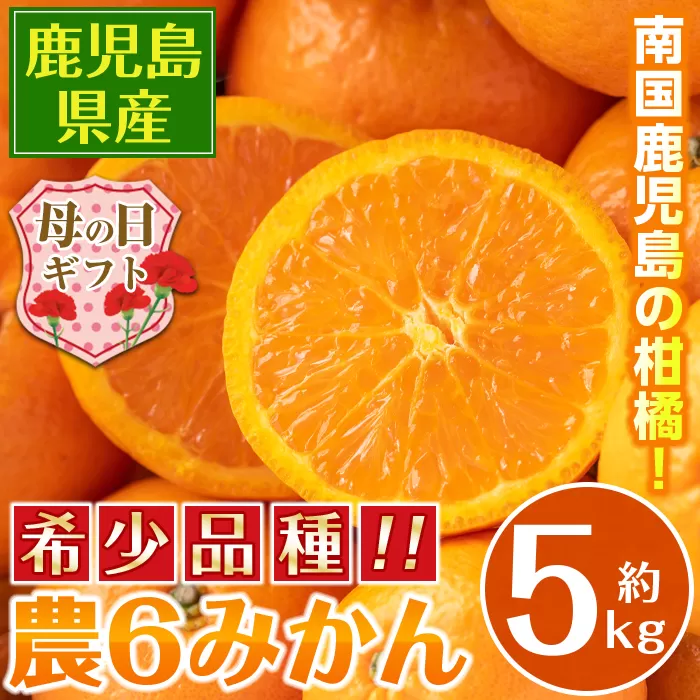 i585-m 【母の日ギフト】農6みかん(約5kg) 果物 フルーツ 柑橘 国産 鹿児島県産 みかん 蜜柑 母の日 プレゼント ギフト 贈答 【江崎果樹園】