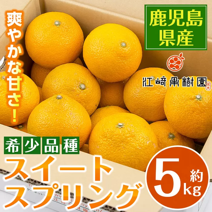 i1068 ＜先行予約受付中！2025年12月下旬～2月下旬の間に発送予定＞ ＜数量・期間限定＞ スイートスプリング (約5kg) 鹿児島 みかん スイートスプリング 柑橘 果物 くだもの フルーツ 旬 ミカン オレンジ 【江崎果樹園】