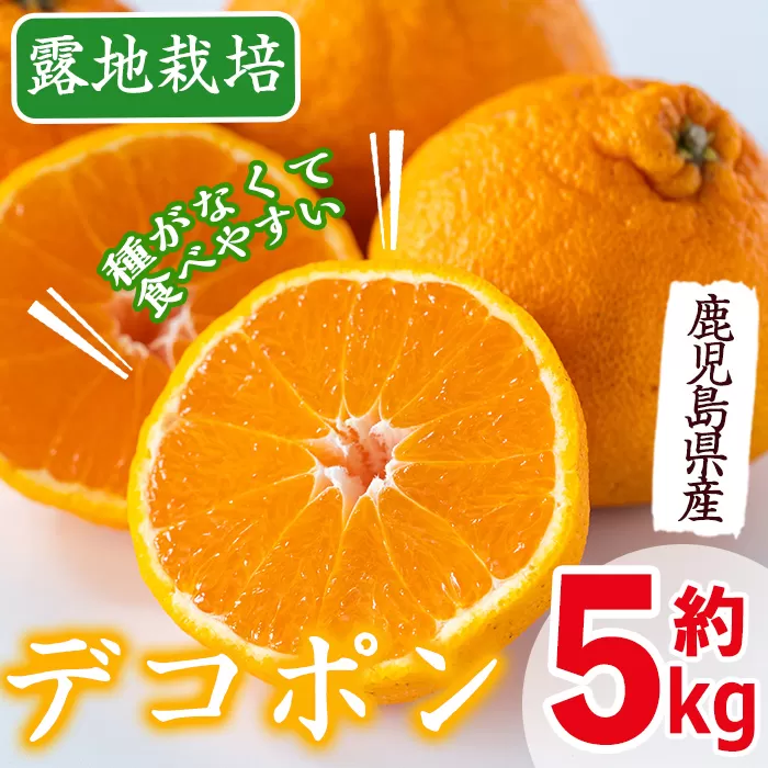 i084 ≪先行予約受付中！2026年3月上旬から順次発送≫鹿児島県産！デコポン(約5kg・L~4Lサイズ 15~24玉) 国産 みかん 柑橘 種なし 果物 くだもの フルーツ 旬 露地裁場 【JA鹿児島いずみ(果実課)】