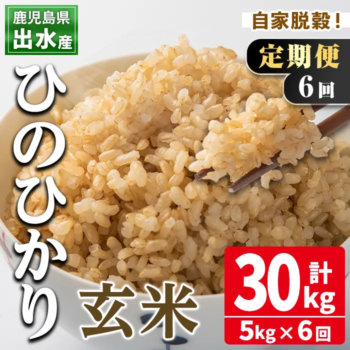 i542 ＜定期便・計6回(連続)＞鹿児島県出水市産ひのひかり玄米＜5kg×全6回＞ 米 玄米 お米 5kg 計30kg 定期便 国産 ヒノヒカリ おにぎり 自家脱穀 ごはん お米マイスター 厳選 【田上商店】