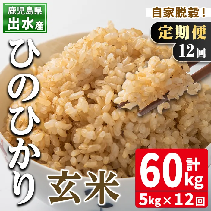 i663 ＜定期便・計12回(連続)＞鹿児島県出水市産ひのひかり玄米＜5kg×全12回＞ 米 玄米 お米 5kg 計60kg 定期便 国産 ヒノヒカリ おにぎり 自家脱穀 ごはん お米マイスター 厳選 【田上商店】