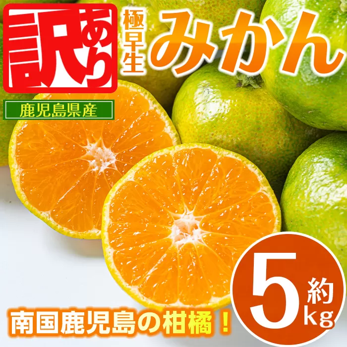 i1170 《訳あり！数量・期間限定》鹿児島みかん（極早生系・約5kg） みかん 蜜柑 ミカン 柑橘 極早生 10kg 果物 フルーツ 果実 国産 鹿児島 訳あり 【江崎果樹園】