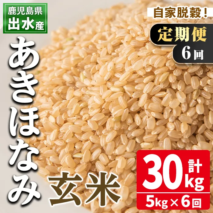 i539 ＜定期便・計6回(連続)＞鹿児島県出水市産あきほなみ 玄米＜5kg×全6回＞ 米 玄米 お米 5kg 計30kg 定期便 国産 あきほなみ おにぎり ごはん お米マイスター 厳選【田上商店】