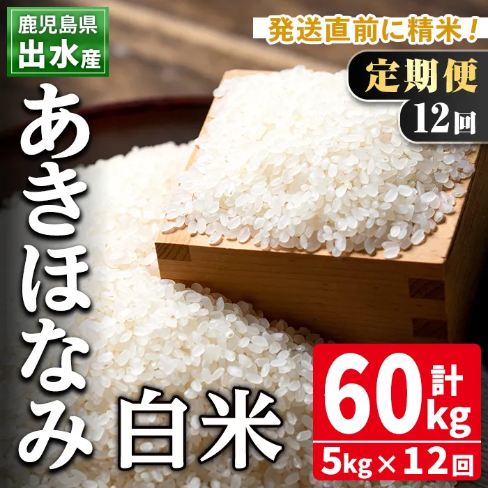 i650 ＜定期便・計12回(連続)＞鹿児島県出水市産あきほなみ＜5kg×全12回＞ 米 5kg 計60kg お米 白米 定期便 アキホナミ 自家脱穀 自家精米 発送直前 精米 おにぎり ごはん お米マイスター 厳選【田上商店】