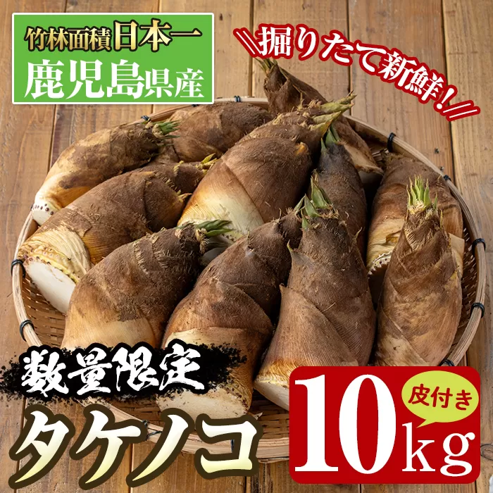 i365 ≪数量限定！先行予約受付中！2026年4月上旬～4月中旬の間に発送予定≫鹿児島県出水市産！タケノコ＜皮付き10kg＞ たけのこ 筍 タケノコ 国産 皮付き 野菜 旬 新鮮 採りたて 煮物 味噌汁 炊き込みご飯 【シンタク】