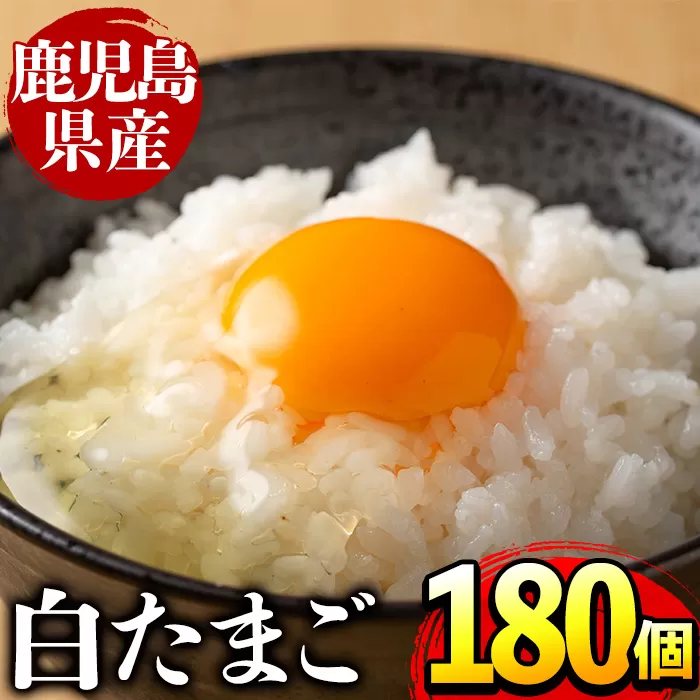i303 鹿児島県産の白たまご180個(Mサイズ) 業務用 国産 九州産 生卵 卵 たまご 鶏卵 鶏 M玉 TKG 卵焼き 食品 【マルイ食品】
