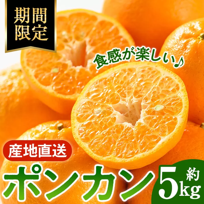 i987 ＜2026年1月中旬以降順次発送予定＞ポンカン(約5kg) みかん ポンカン ぽんかん 柑橘 果物 くだもの フルーツ 旬 ミカン オレンジ 数量限定 期間限定 【アーステクノ】