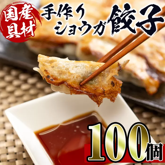 i393 国産豚肉使用!手作りショウガ餃子100個セット(10個×10パック たれ付き)[スーパーよしだ]
