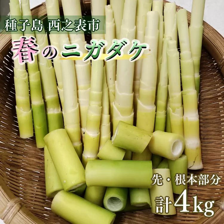 種子島 産 ニガダケ (根本部分と先部分) 計 4kg　NFN497【475pt】