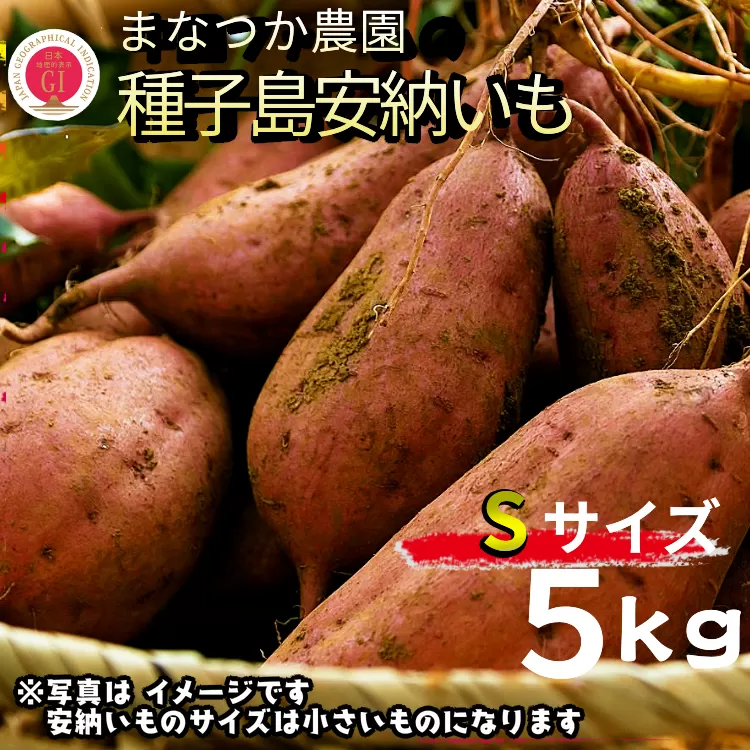  【先行予約】種子島 まなつか農園 種子島安納いも ( 生いも ) Sサイズ　NFN486【300pt】