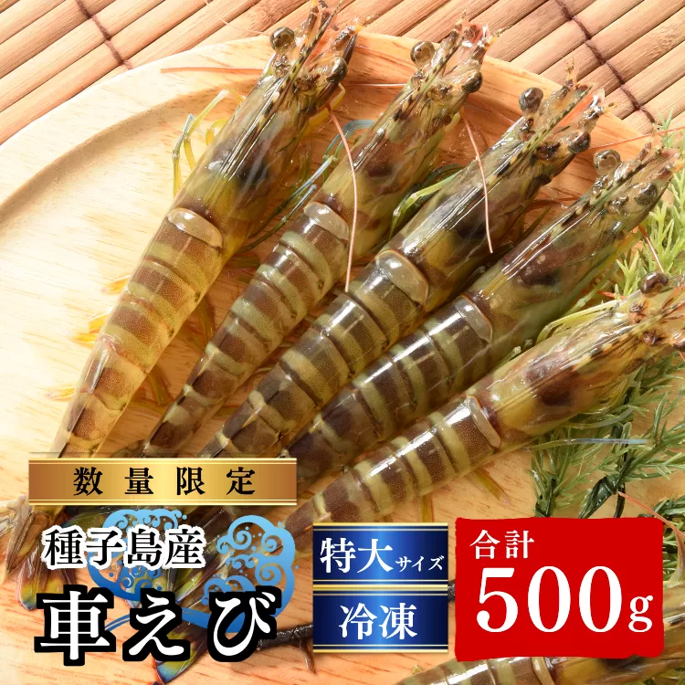 種子島 産 車えび 特大 冷凍 車海老 (250g×2袋) 計500g　NFN553【325pt】