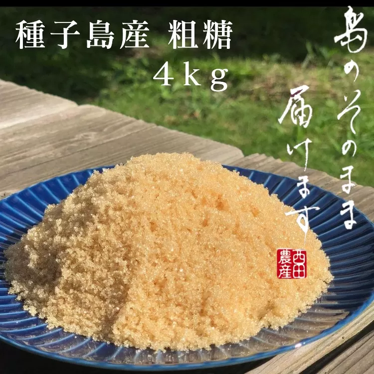 種子島 産 さとうきび 粗糖 西田農産 4kg　NFN415 【325pt】