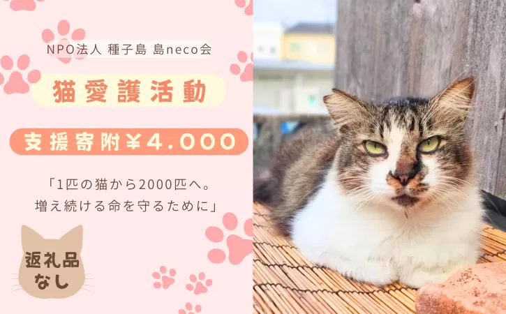 【返礼品なし】猫愛護活動支援 NFN642 【100PT】// 特定非営利活動法人 種子島 島neco会
