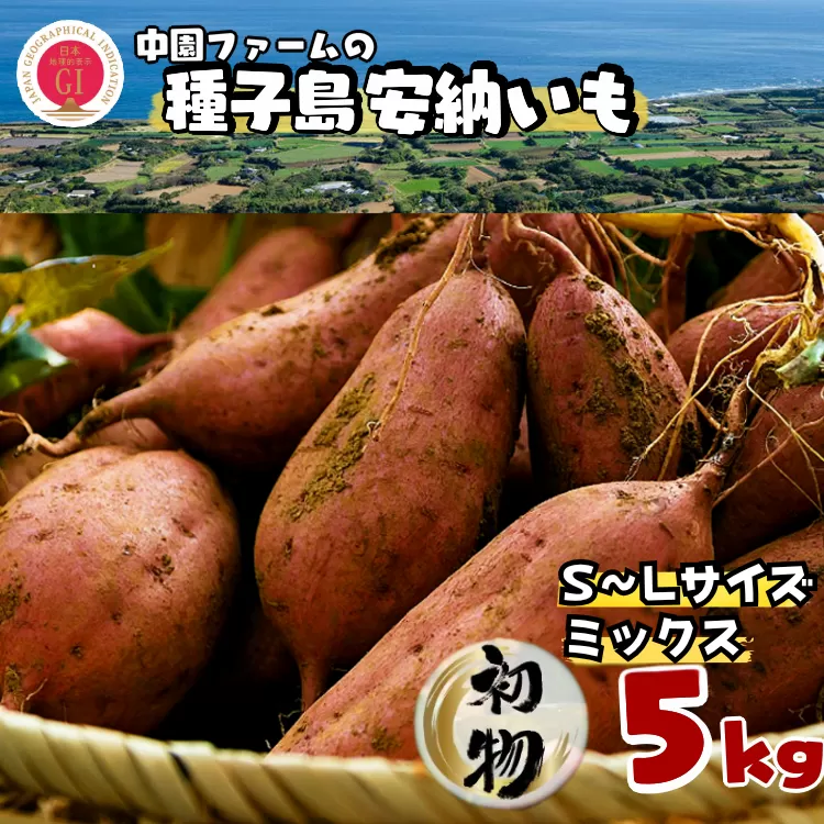 [ 初物 8月下旬〜発送 ] 中園ファーム 種子島 安納いも ( 生芋 ) 本場 安納 地域産 Mix 5kg NFN626[250pt] // 早掘り 安納芋発祥の地 安納地域 本場 安納芋