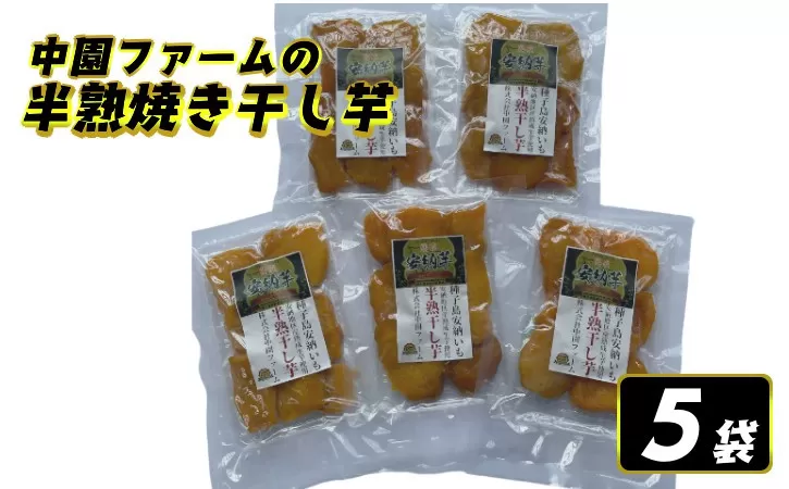 中園ファーム 半熟 焼き干し芋 100g×５袋　NFN510 【250pt】