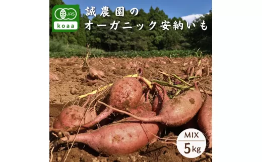 種子島産 オーガニック (有機) 種子島安納いも (誠農園) ５ｋｇ　NFN537 【350pt】
