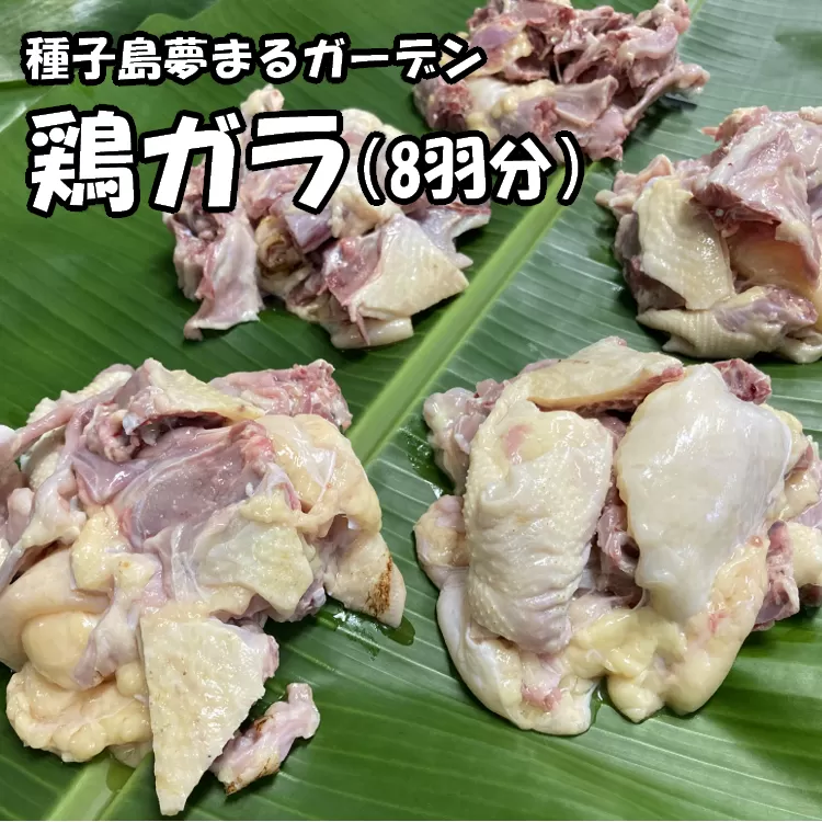 種子島 夢まるガーデン 鶏ガラ （８羽分）約3kg　NFN509 【300pt】