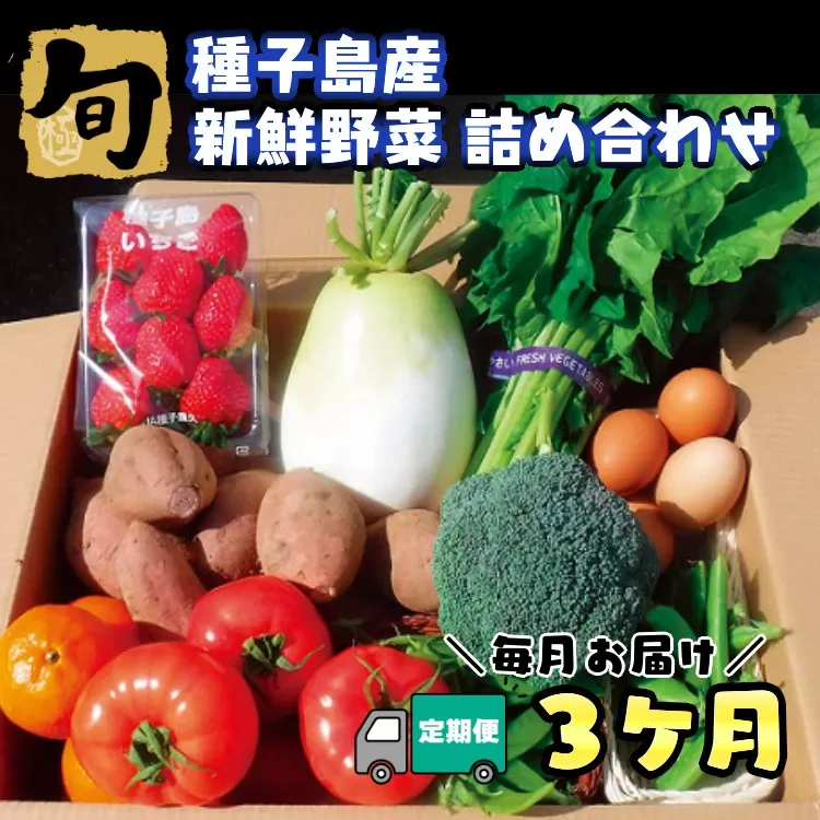 【３か月 定期便 】 種子島 の新鮮 野菜 と 果物 ７～１０品 と 鶏卵 セット　NFN475 【975pt】