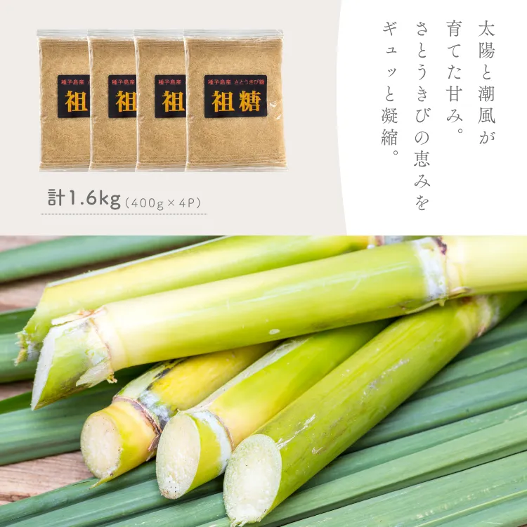 【自社工房手づくり】種子島 りんかけ堂 黒糖粉 （加工黒糖） セット　NFN692 【200pt】 // ふんまつ 粉 粉末 黒糖 こくとう さとうきび  サトウキビ 自家製