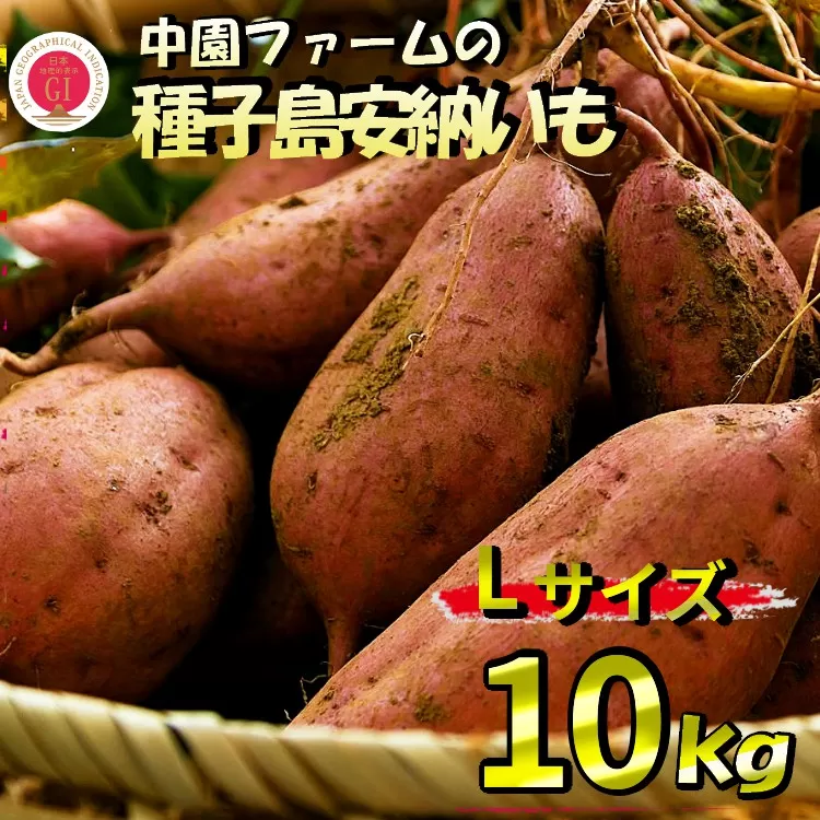 種子島 中園ファーム 種子島 安納いも ( 生いも ) Lサイズ 10kg　NFN060【525pt】