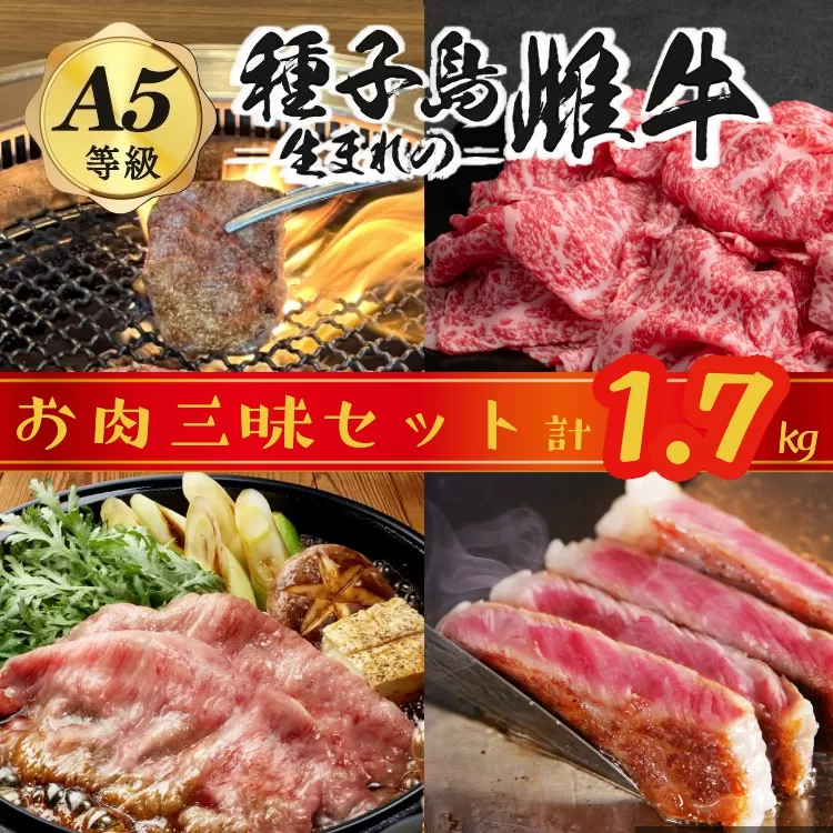 「自慢の逸品」 西之表市生まれの黒毛和牛 雌牛 お肉三昧セット （計1.7kg）  NFN543 【 1500pt】