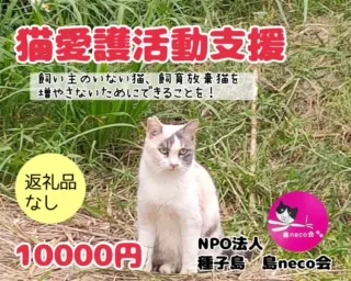 【返礼品なし】猫愛護活動支援 NFN641 【250PT】// 特定非営利活動法人　種子島 島neco会