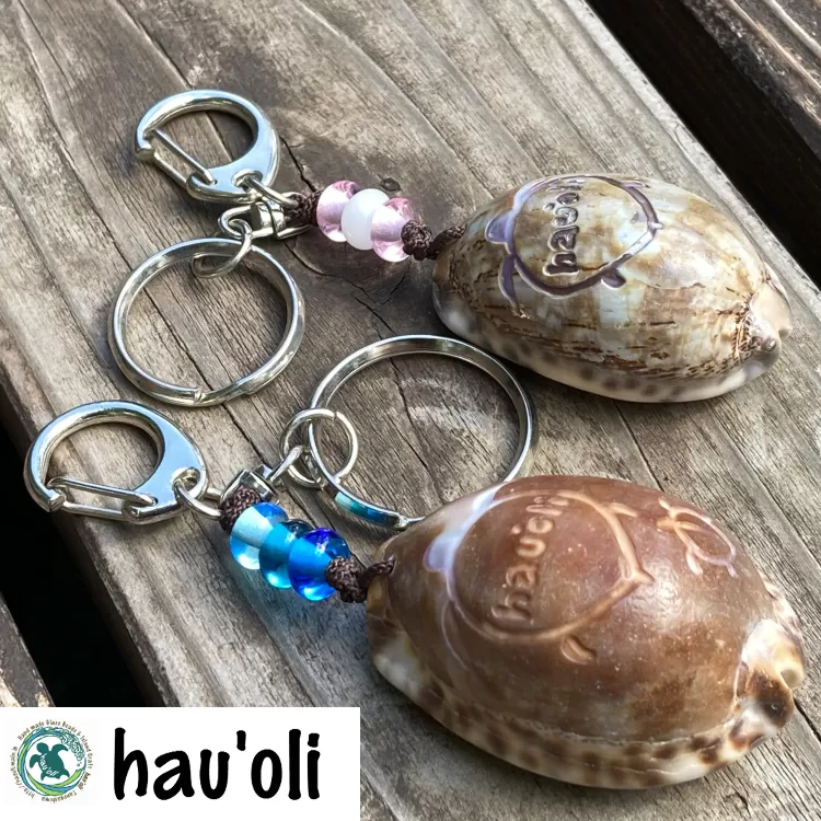 種子島 hau'oli タカラガイ のペア・ キーホルダー　NFN371【350pt】
