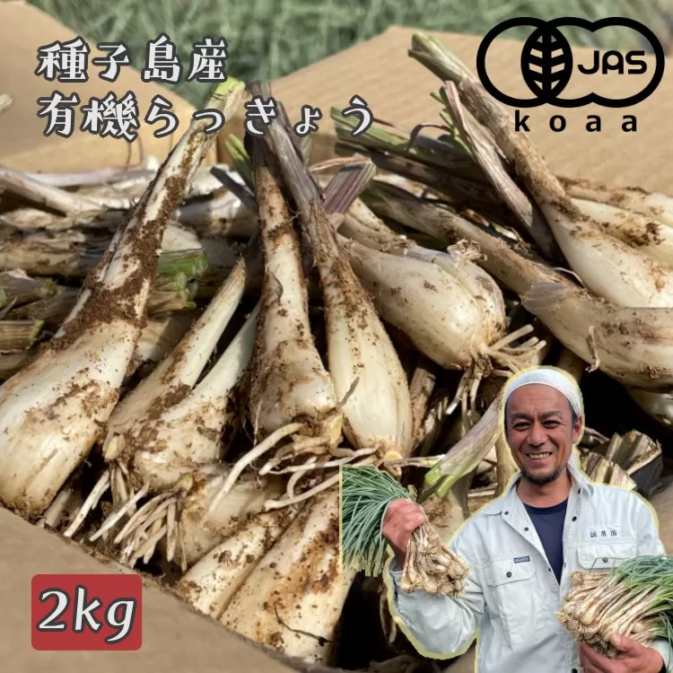 たねがしま らっきょう 誠農園 ( 種子島  有機 JAS 根つき 生らっきょう) 2kg　NFN489【350pt】