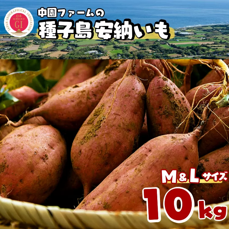中園ファーム 種子島 安納いも ( 生芋 ) M,Lサイズ 10kg　NFN456【550pt】