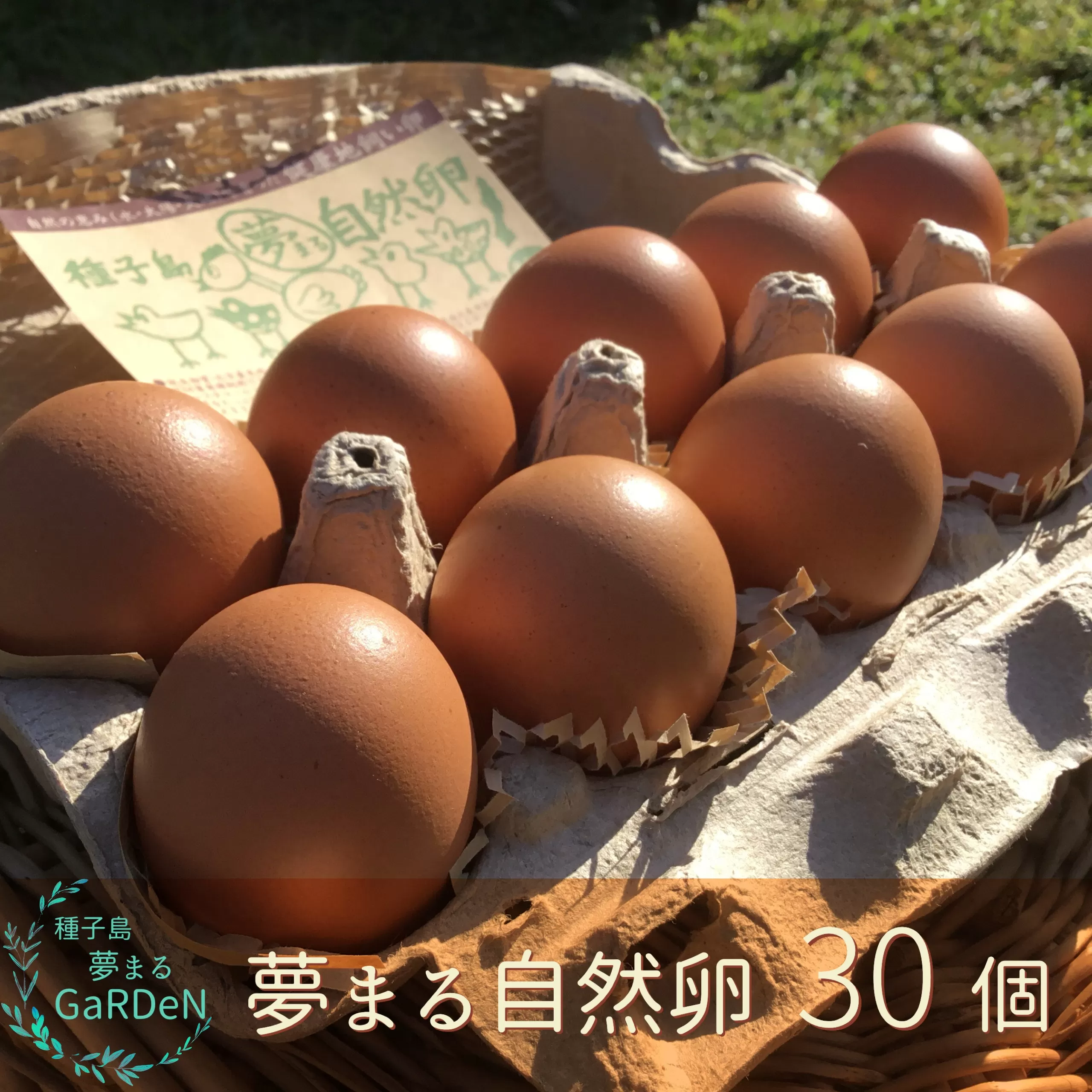 種子島 平飼い 産み立て たまご 夢まるガーデン 鶏卵 ×30個　NFN500【300pt】