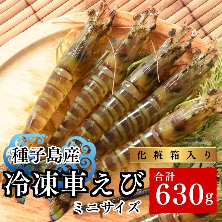 種子島 車えび ミニ　( 生食用 冷凍 化粧箱入り ) 210g ×3パック　NFN364【500pt】