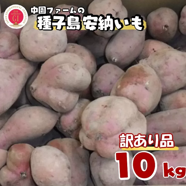 【訳あり】 中園ファーム の 種子島 安納いも １０ｋｇ　NFN459 【300pt】