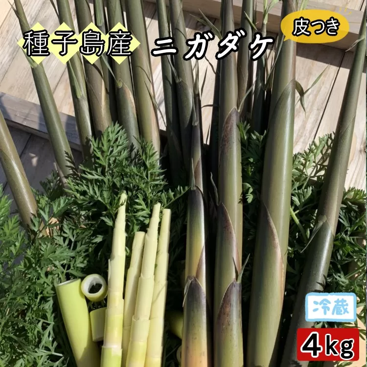  種子島 こむぎ屋工房 希少 な 種子島産 苦竹 （ ニガダケ ） 　皮つき ４キロ　NFN588【450pt】