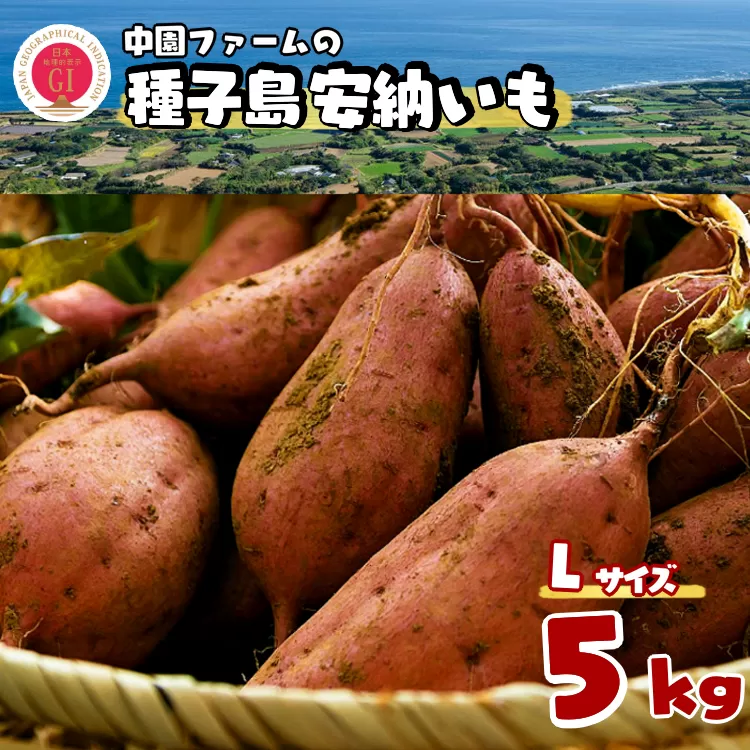 種子島 中園ファーム 安納いも ( 生芋 ) L サイズ 5kg　NFN365【300pt】