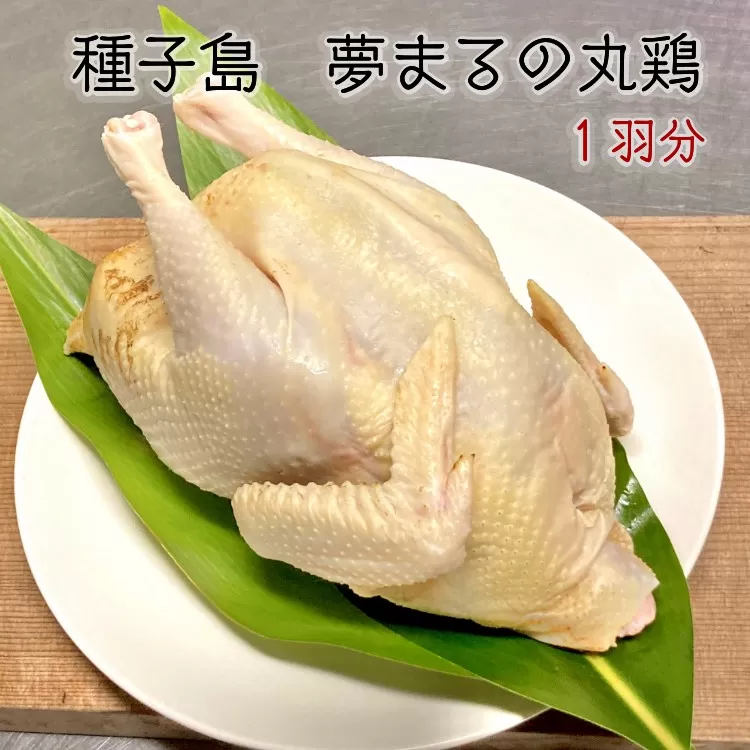 種子島 夢まるガーデン 丸鶏 平飼い (1羽)　NFN449 【375pt】