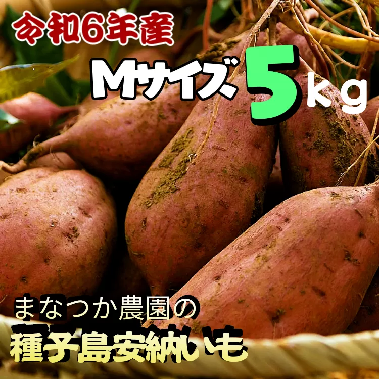 【先行予約】まなつか 農園 の 種子島 安納いも  (生いも) 5ｋｇ　NFN001 【300pt】