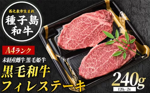 西之表市生まれの黒毛和牛！ 種子島 黒毛 和牛 フィレステーキ 120g×2枚　NFN548 【900pt 】