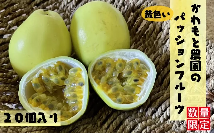 【 7月下旬～8月 先行予約 】種子島 珍しい 黄色 パッションフルーツ かわもと農園 (20個入り)　NFN460 【450pt】