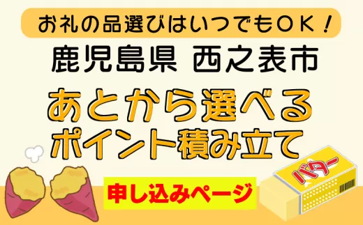 西之表市 応援 寄附金 ポイント 【 積み立て 用 】　NFN999 【250pt】