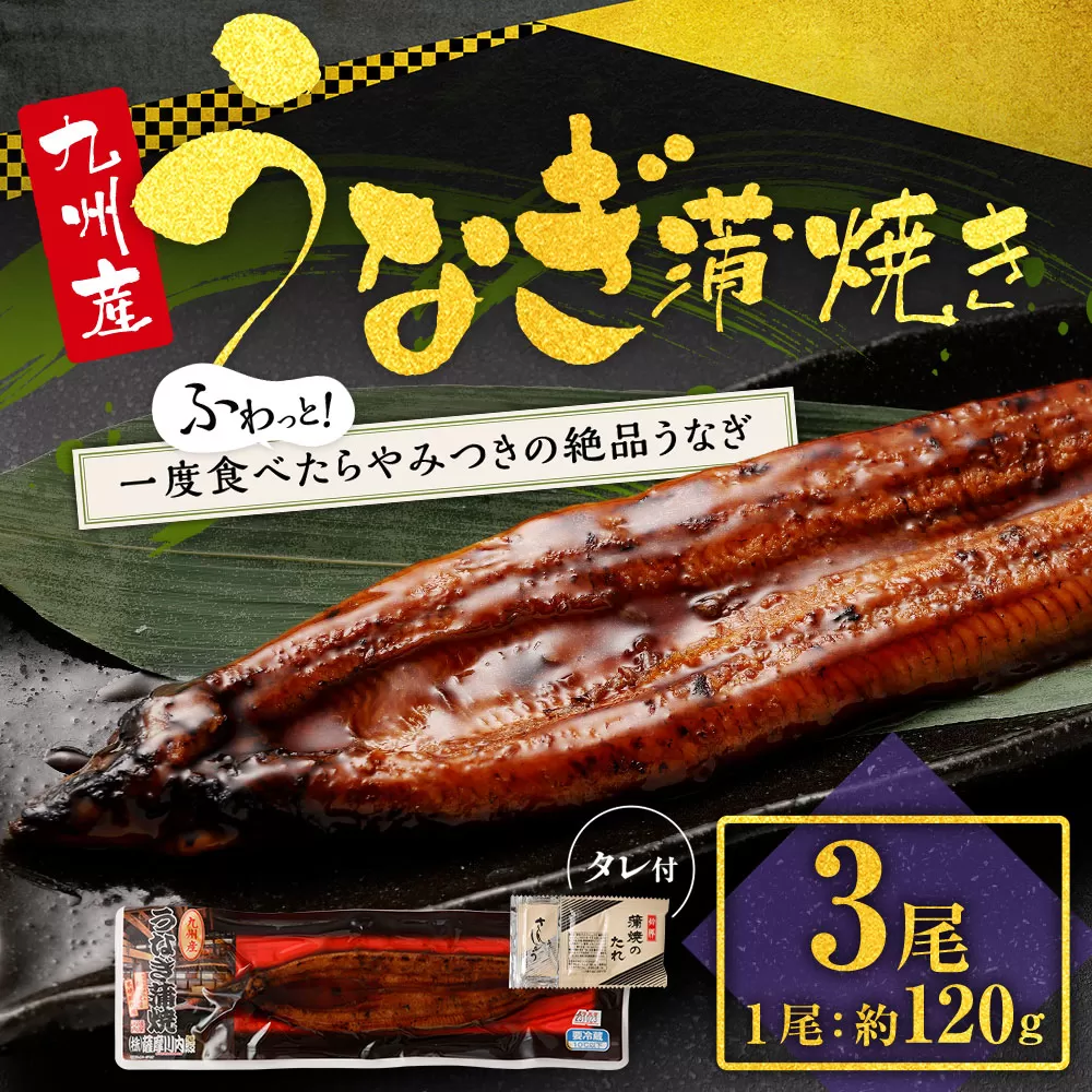BS-126 九州産うなぎ蒲焼き 3尾 合計約360g(約120g×3尾) タレ付