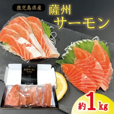 薩州サーモン 1kg 鹿児島 国産 養殖 サーモン  鮭 BS-247