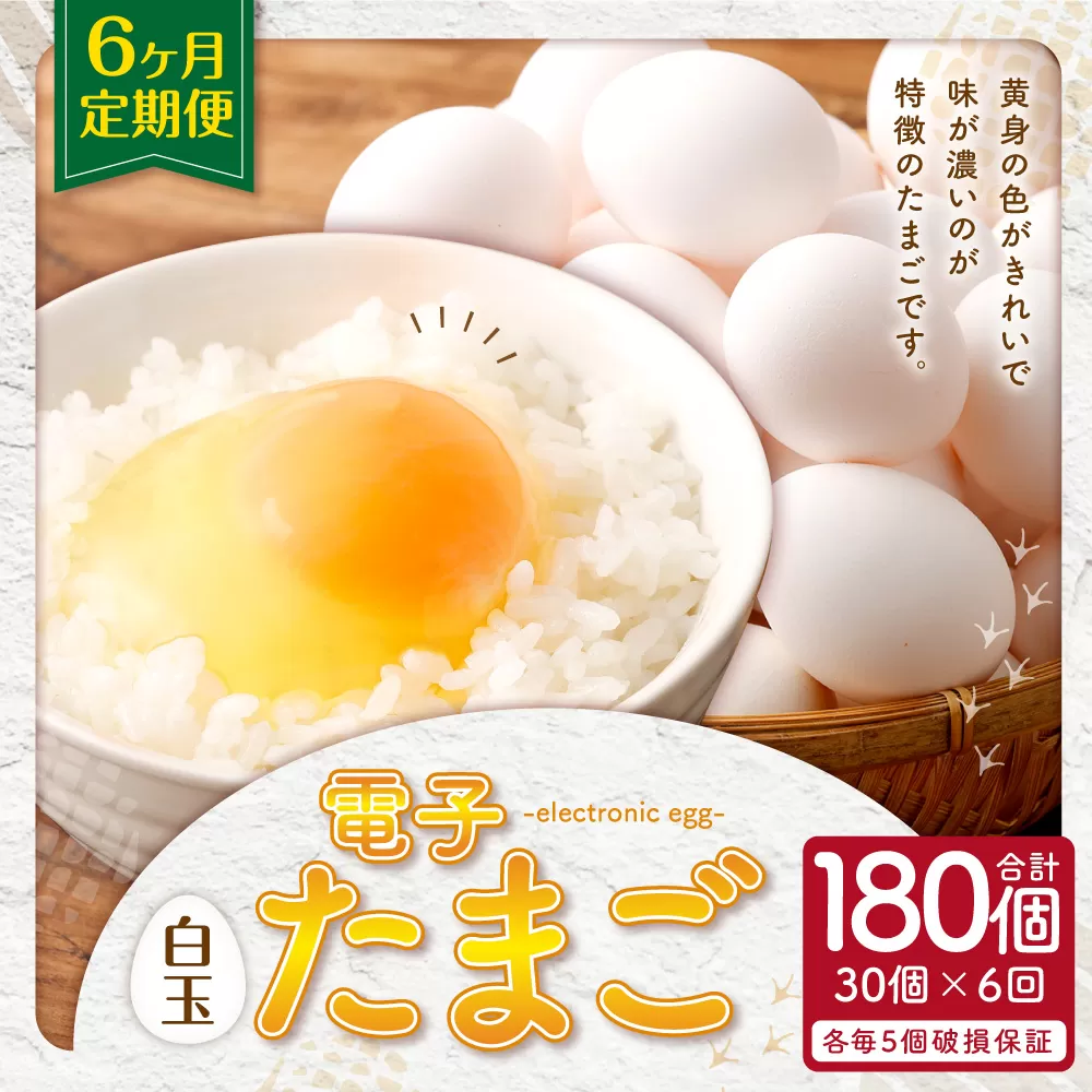 BS-824 【6ヶ月定期便】 電子たまご（白玉） 合計180個（30個×6回） 卵 たまご 白玉 定期
